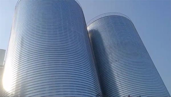 龙口2座混凝土高架卷板仓